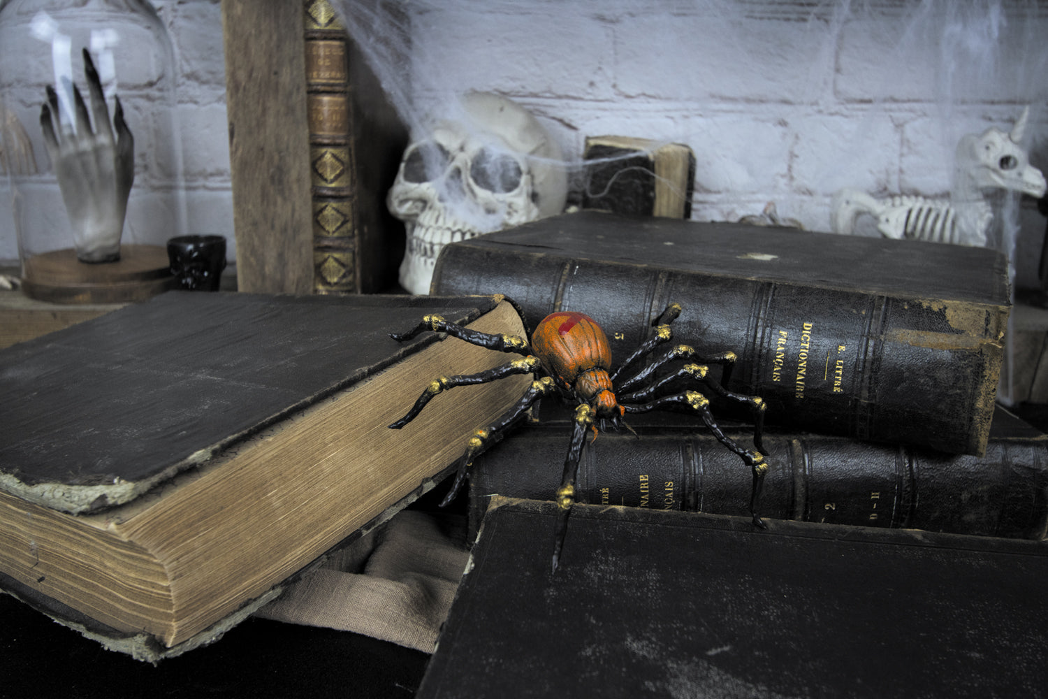 ARAIGNEE MORTELLE 21CM