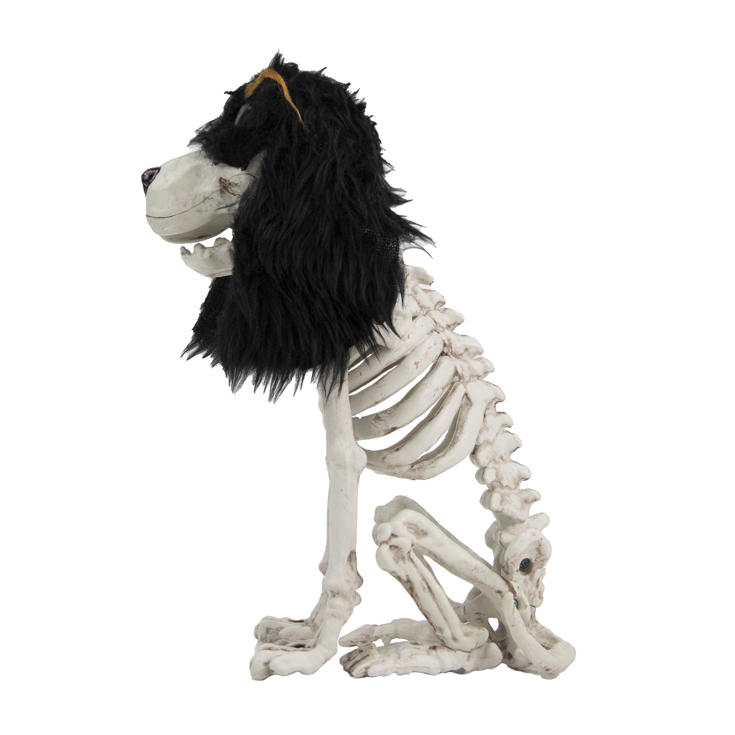 SQUELETTE DE PETIT CHIEN ASSIS 25CM