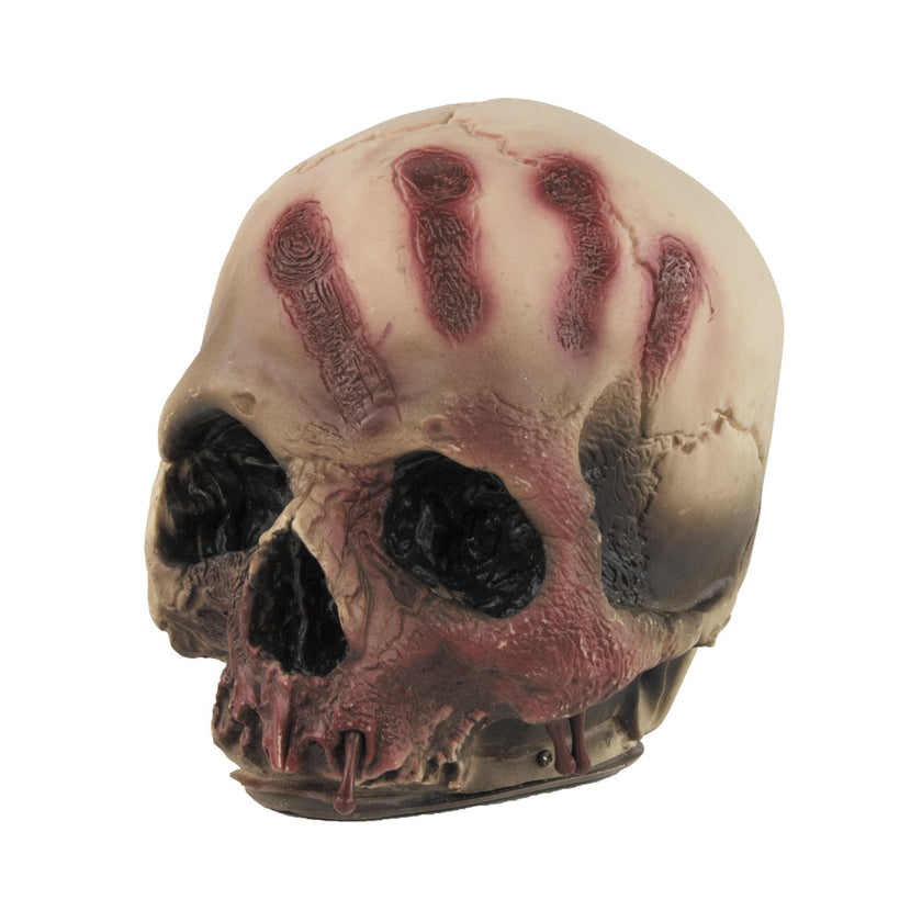 CRÂNE ENSANGLANTE
