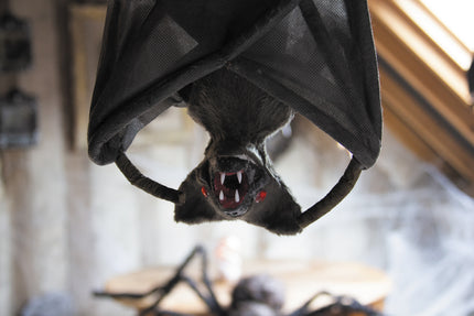 CHAUVE SOURIS AILES REPLIEES