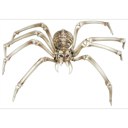 SQUELETTE D'ARAIGNEE XXL