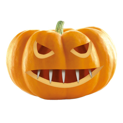 SET DE 20 DENTS POUR CITROUILLE