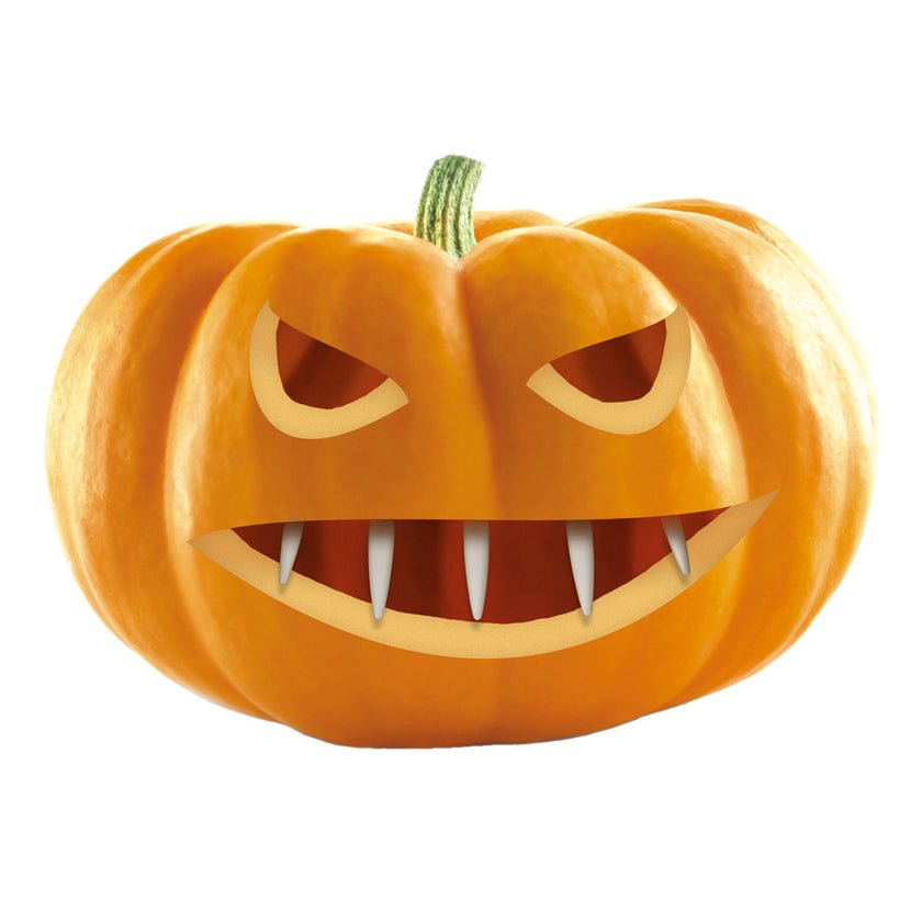 SET DE 20 DENTS POUR CITROUILLE