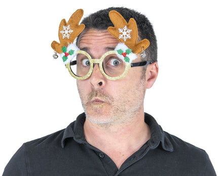 LUNETTES RUDOLPH PAILLETEES