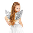 AILES FANTASTIQUES ARGENTEES