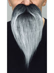 Moustache et barbe longue grise