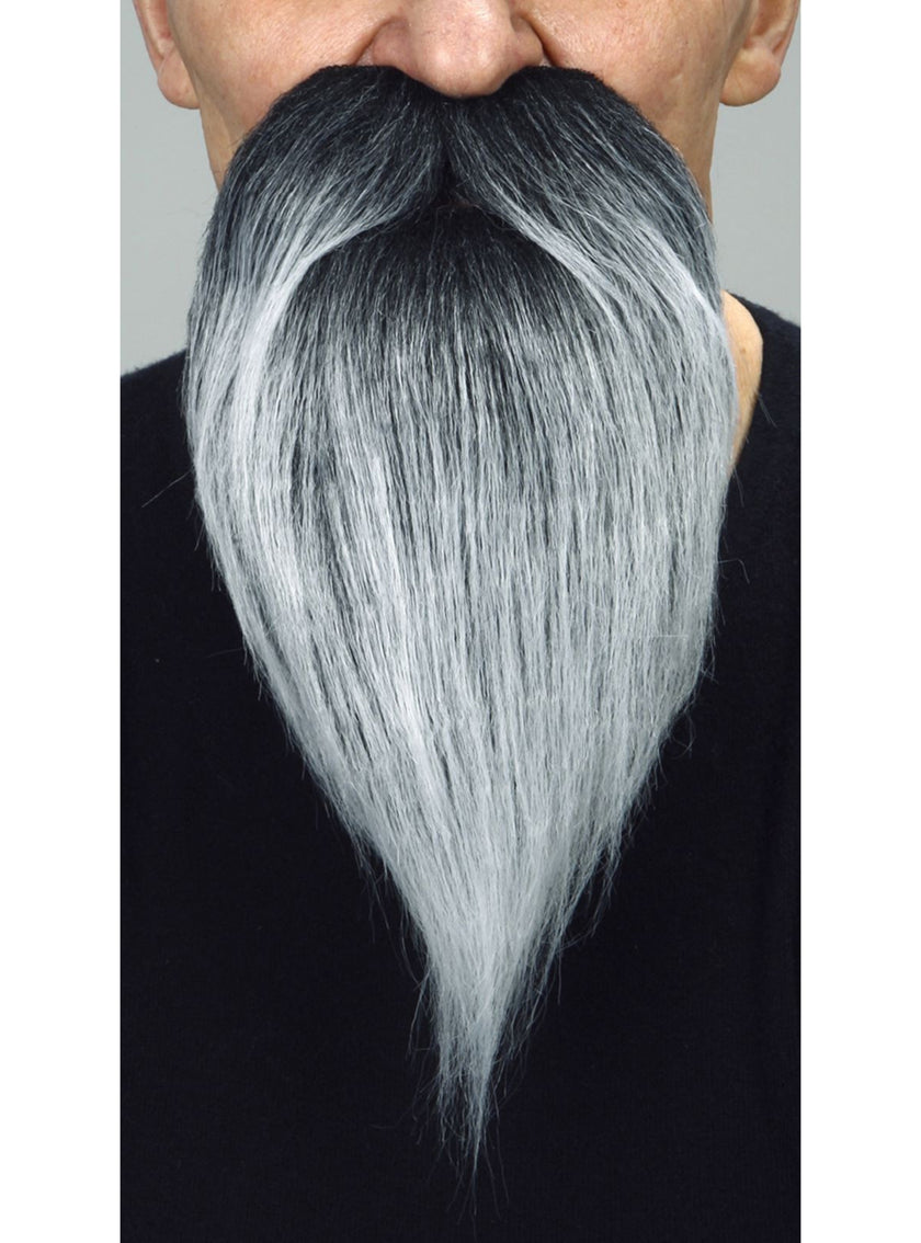 Moustache et barbe longue grise