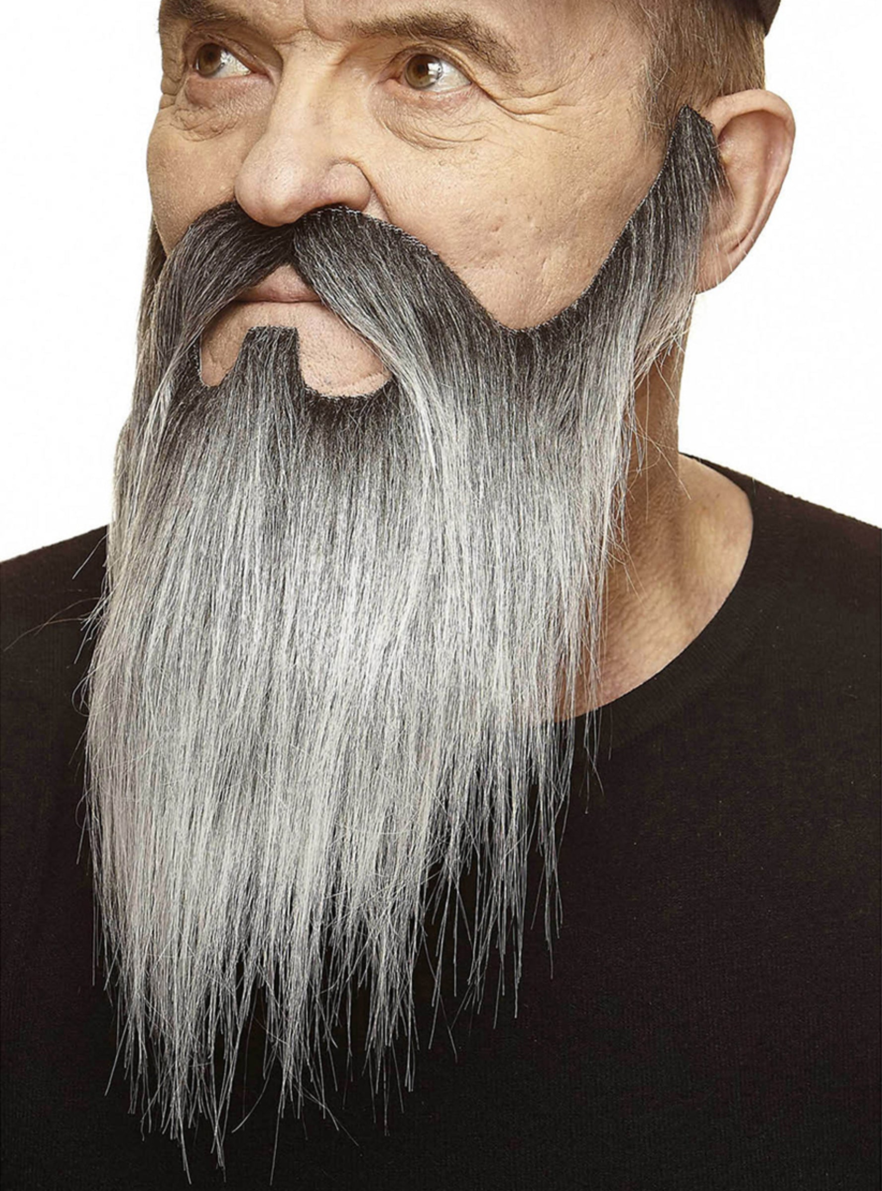 Moustache et barbe longue gris depuis les favoris