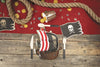 ASSIETTES BATEAU PIRATE 23CM X 8