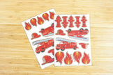 STICKERS POMPIERS X 25PCS