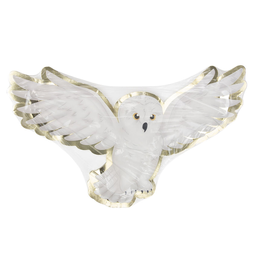 ASSIETTES CHOUETTE APPRENTI SORCIER 32CM  X 8