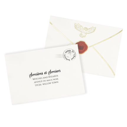 SERVIETTES 30X20CM ENVELOPPE APPRENTI SORCIER X 16