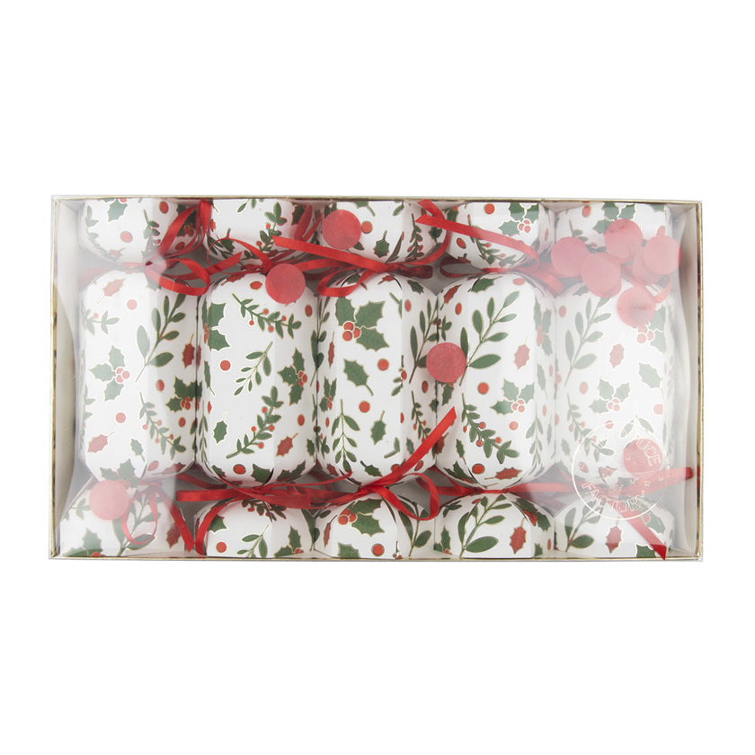 PETITS CRACKERS HOUX X5