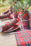 CRACKERS TARTAN X5