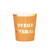 GOBELETS 200ML MULTI JOYEUX ANNIVERSAIRE X 8