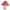 ASSIETTES CHAMPIGNON X 8