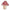 ASSIETTES CHAMPIGNON X 8