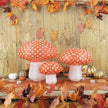 SET DECO 3 CHAMPIGNONS