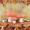 SET DECO 3 CHAMPIGNONS