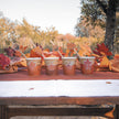 SET DE 8 DÉCORATIONS POUR VERRES AUTOMNE