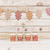 SET DE 8 DÉCORATIONS POUR VERRES AUTOMNE