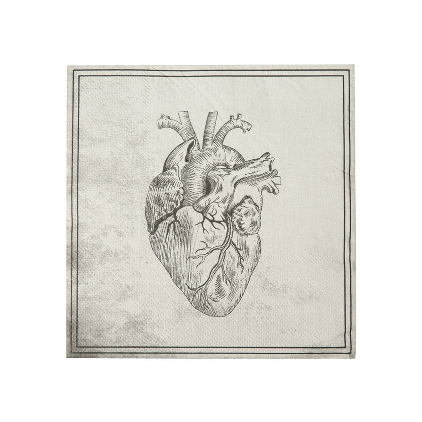 SERVIETTES 33X33CM CRANE CABINET DE CURIOSITES X 16