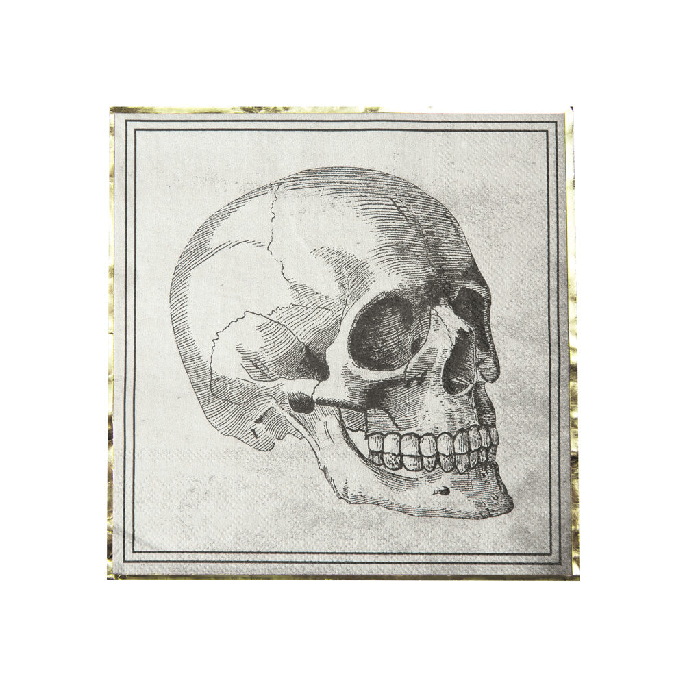 SERVIETTES 33X33CM CRANE CABINET DE CURIOSITES X 16