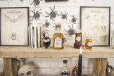 DECORATIONS POUR BOUTEILLES CABINET DE CURIOSITES X 15PCS