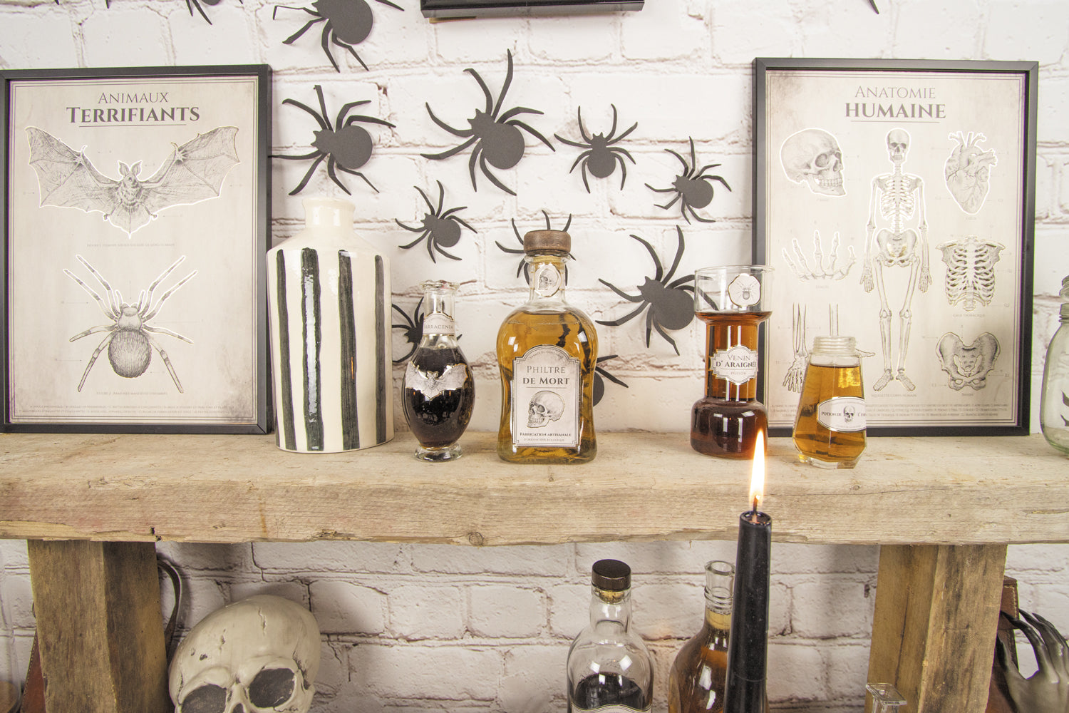 DECORATIONS POUR BOUTEILLES CABINET DE CURIOSITES X 15PCS