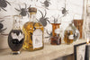 DECORATIONS POUR BOUTEILLES CABINET DE CURIOSITES X 15PCS
