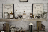 DECORATIONS POUR BOUTEILLES CABINET DE CURIOSITES X 15PCS