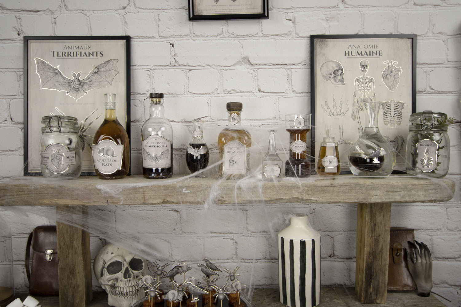 DECORATIONS POUR BOUTEILLES CABINET DE CURIOSITES X 15PCS