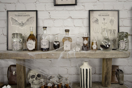 DECORATIONS POUR BOUTEILLES CABINET DE CURIOSITES X 15PCS