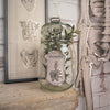 DECORATIONS POUR BOUTEILLES CABINET DE CURIOSITES X 15PCS