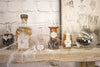 DECORATIONS POUR BOUTEILLES CABINET DE CURIOSITES X 15PCS