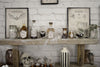 DECORATIONS POUR BOUTEILLES CABINET DE CURIOSITES X 15PCS