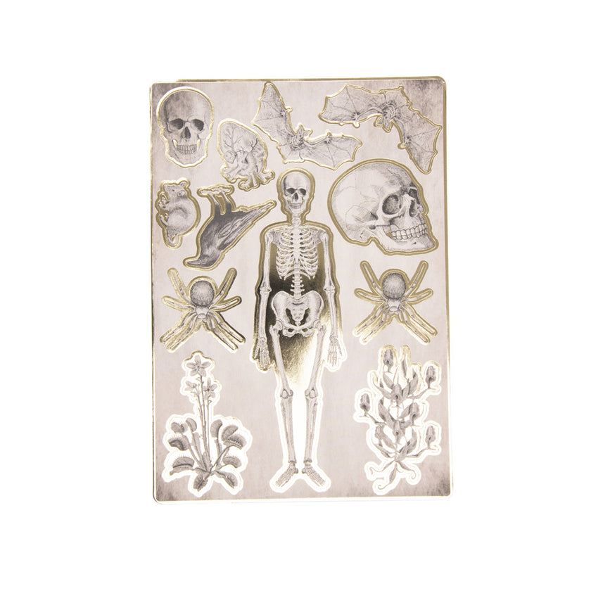 STICKERS CABINET DE CURIOSITES X 25PCS