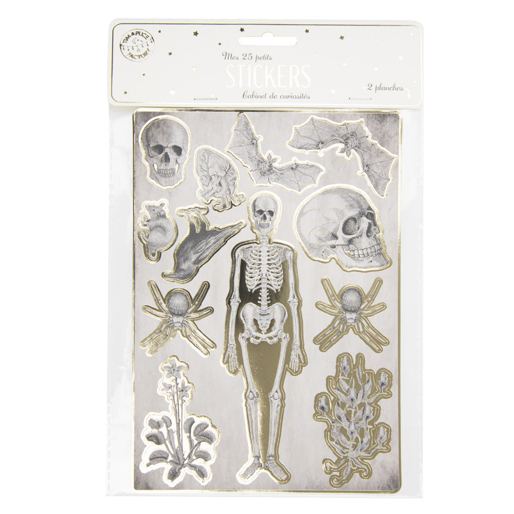 STICKERS CABINET DE CURIOSITES X 25PCS