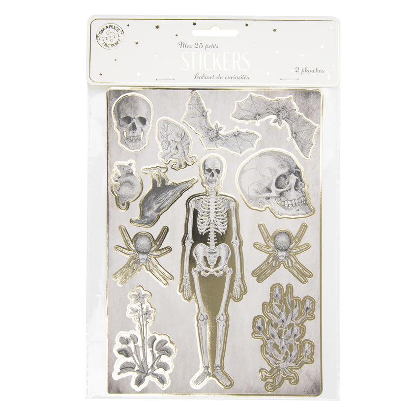 STICKERS CABINET DE CURIOSITES X 25PCS