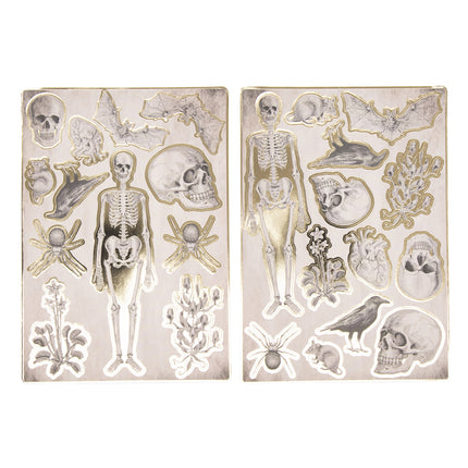 STICKERS CABINET DE CURIOSITES X 25PCS