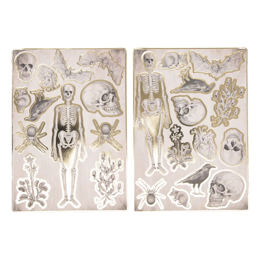 STICKERS CABINET DE CURIOSITES X 25PCS