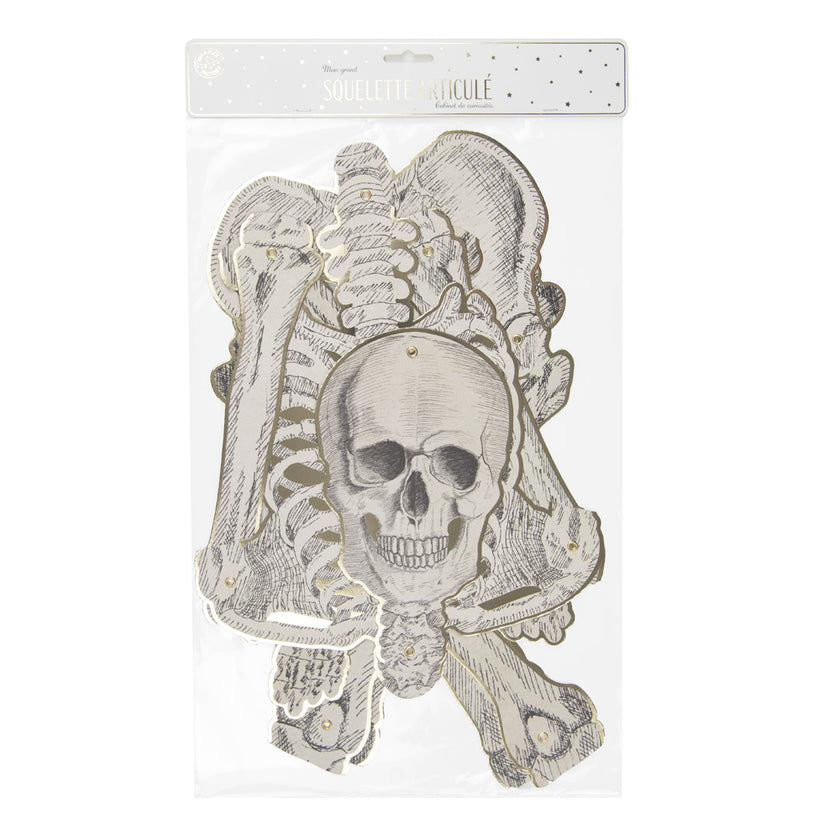 SQUELETTE ARTICULÉ CABINET DE CURIOSITES