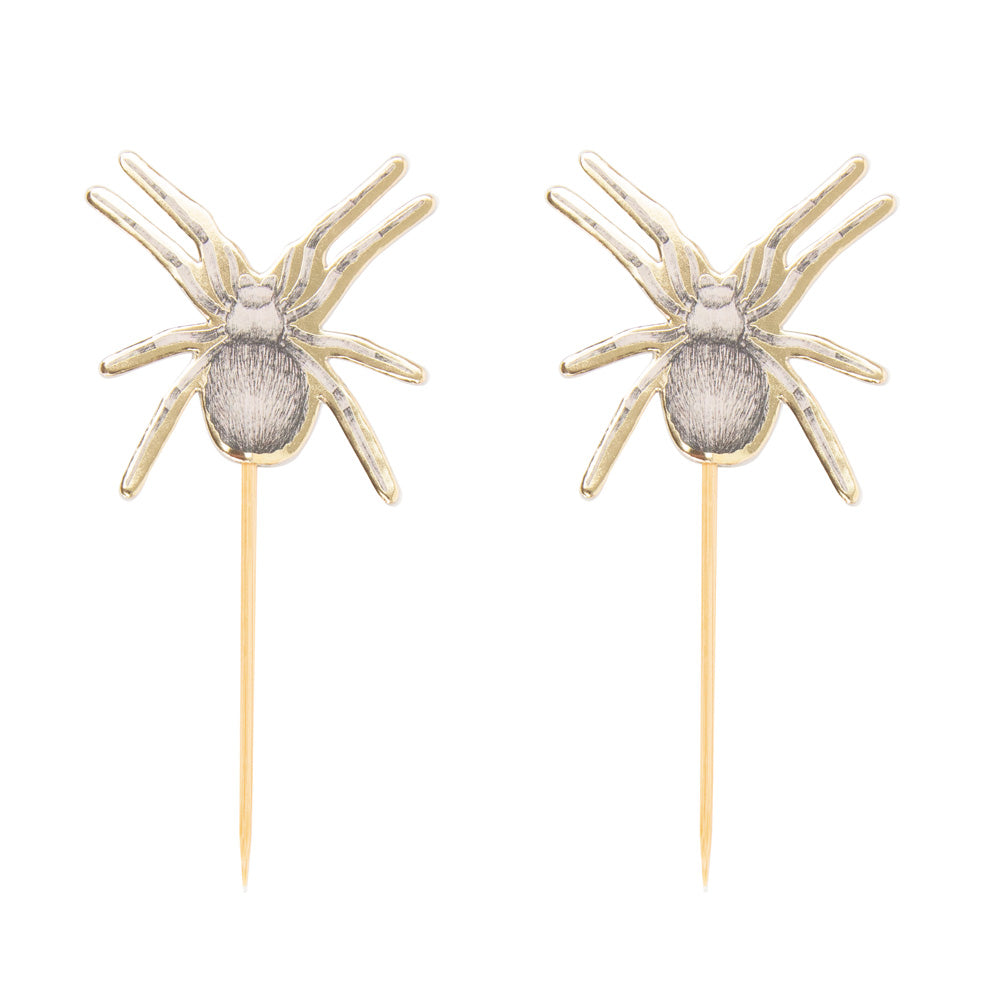 PICS A COCKTAIL ARAIGNEES CABINET DE CURIOSITES X 10