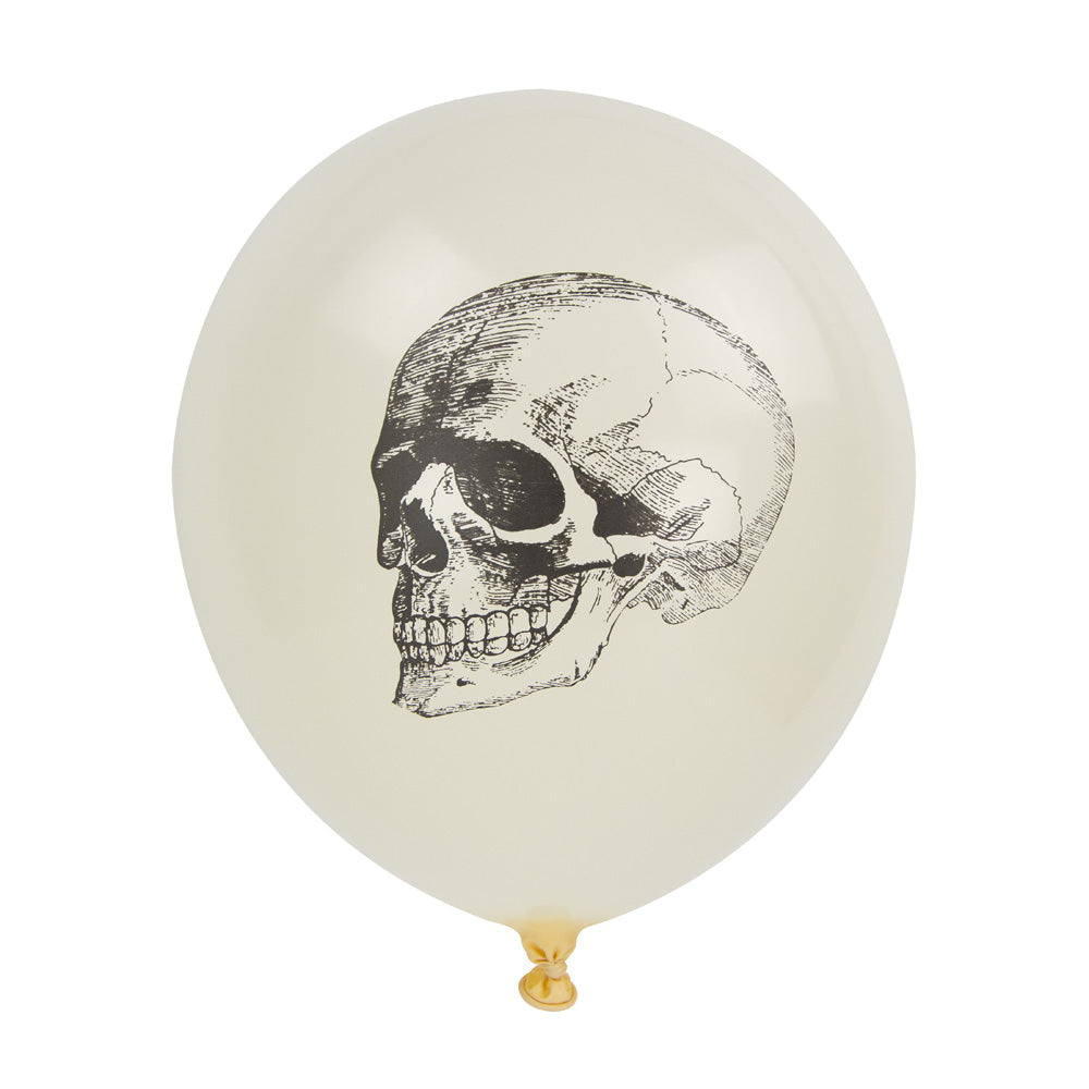 BALLONS DE BAUDRUCHE CABINET DE CURIOSITES X 6