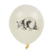 BALLONS DE BAUDRUCHE CABINET DE CURIOSITES X 6