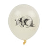 BALLONS DE BAUDRUCHE CABINET DE CURIOSITES X 6