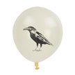 BALLONS DE BAUDRUCHE CABINET DE CURIOSITES X 6