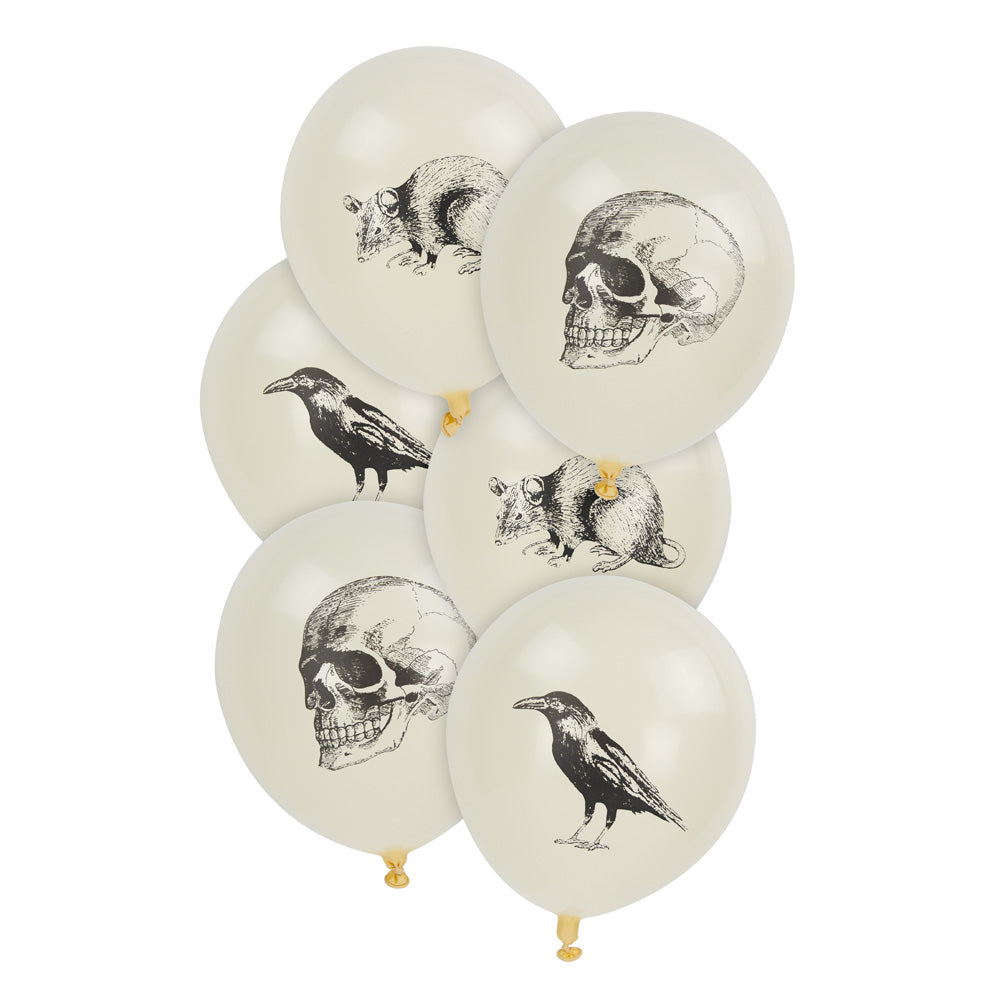 BALLONS DE BAUDRUCHE CABINET DE CURIOSITES X 6