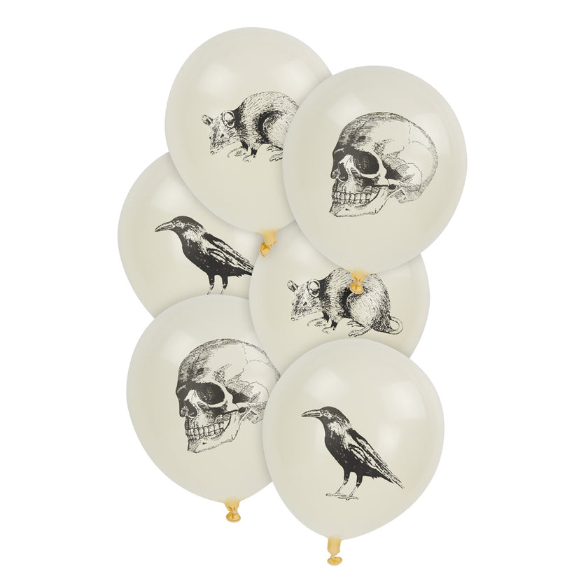 BALLONS DE BAUDRUCHE CABINET DE CURIOSITES X 6