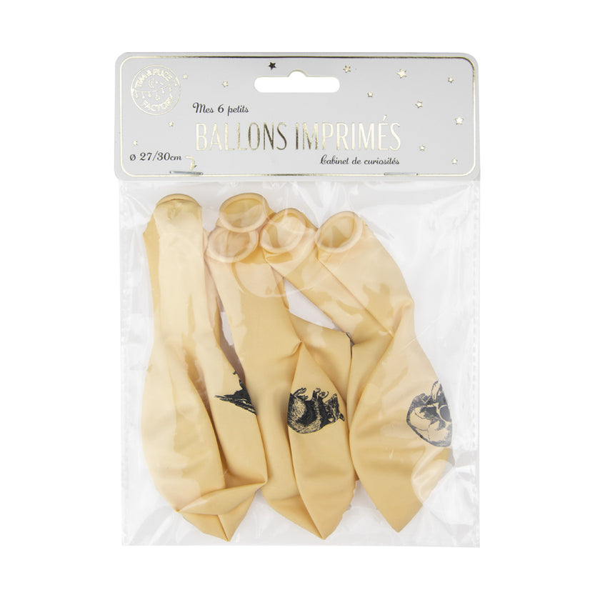 BALLONS DE BAUDRUCHE CABINET DE CURIOSITES X 6